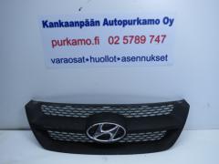 Kuva 1: sleikk ristikko, Hyundai Sonata (NF) 2.4i 16V