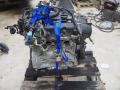 moottori bensiini Ford Focus 1.6 aut. farm. -12